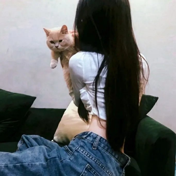 穿梭少女梦 封面